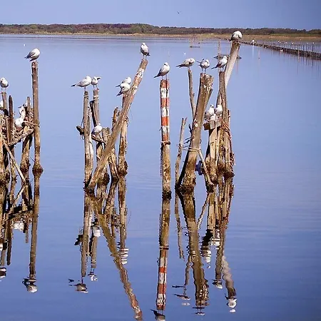 Incanto Bed & Breakfast